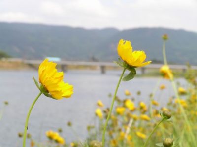 子育て
